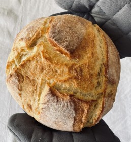 BIO khorasanov kruh