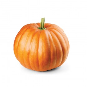Okrasna buča Halloween
