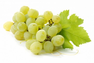 Belo grozdje