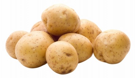 Bel krompir