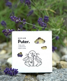 Dream Puter - milo s sivko