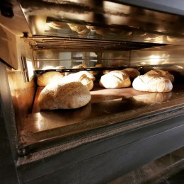 Kruh v peici gajbica