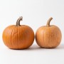 Okrasna buča Halloween (majhna)