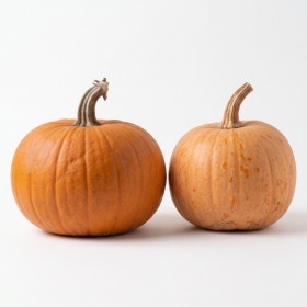 Okrasna buča Halloween (majhna)