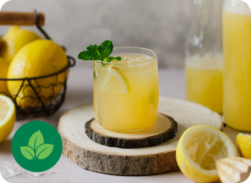 100% naravna limonada z meto