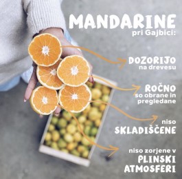 Dostava svežih mandarin