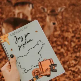 Jaz pa pojdem
