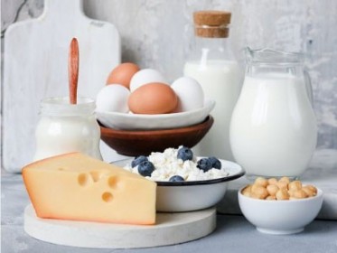 Jajca in mlečni izdelki