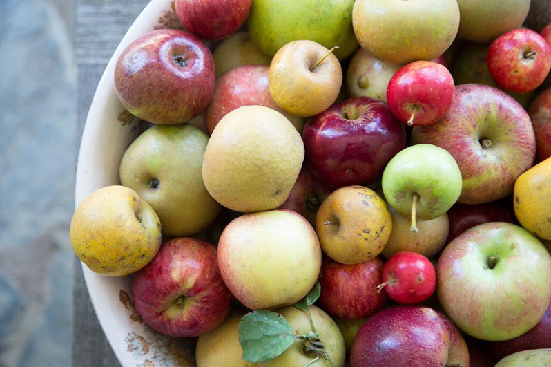 9 sadežev, ki vsebuje največ vlaknin